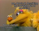 214762.jpeg
