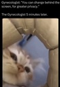 214805.jpeg