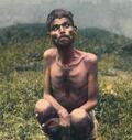 215016.jpeg