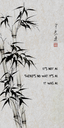 215024.png