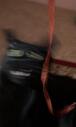 215213.jpeg