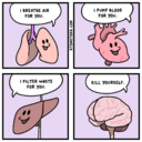 215356.png