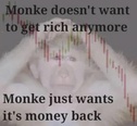 215444.jpeg