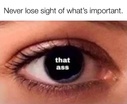 215572.jpeg