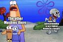 215588.jpeg