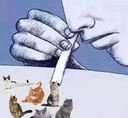215673.jpg