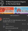 215856.jpeg