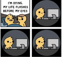 216037.png