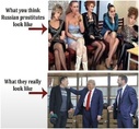 216177.jpeg