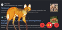 216333.png