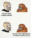 216697.jpeg