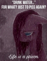 216795.png