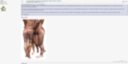 37386.png