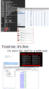53178.png