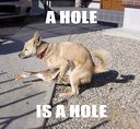 image 83232